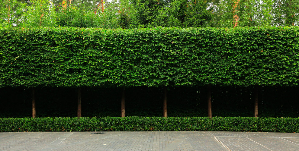 Countrysidelandscapedesign Countrysidelandscapedesign