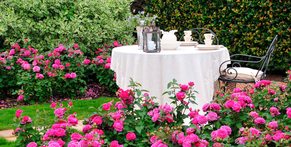 Countrysidelandscapedesign