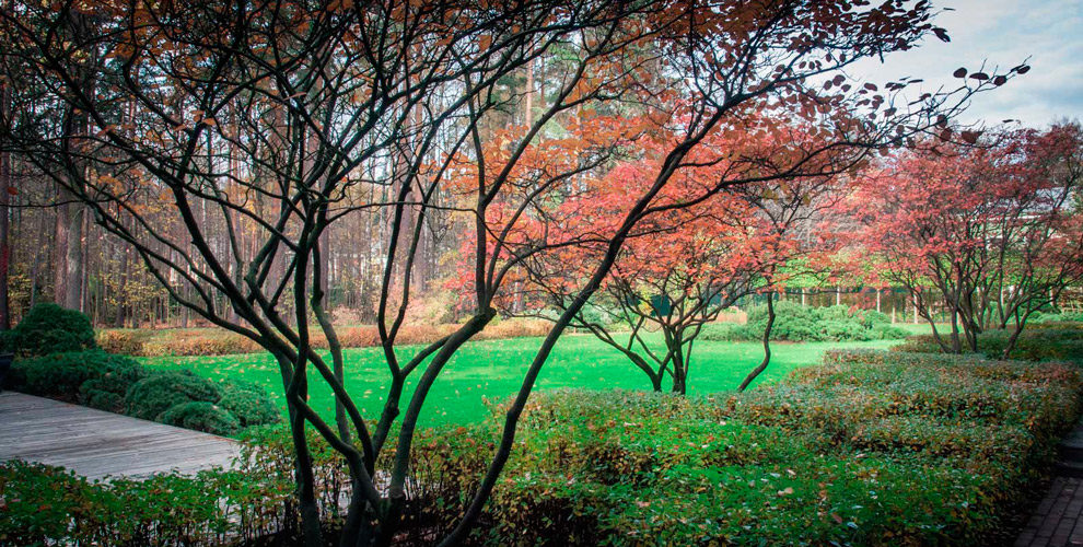Homesteadgardendesign